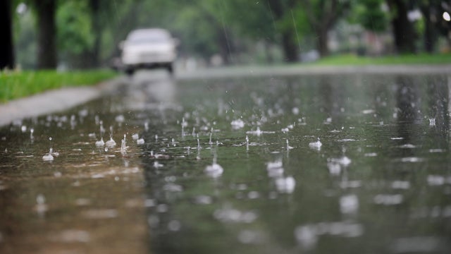 View of the street surface during rain. 