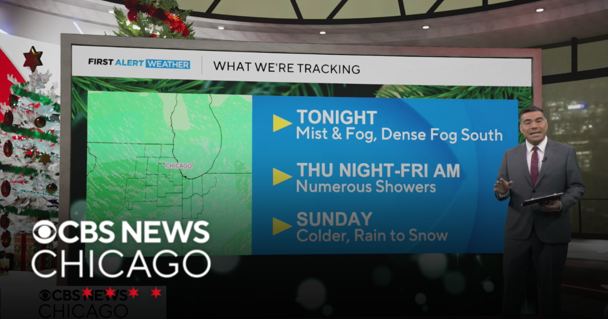 Some dense fog overnight south of Chicago - CBS Chicago