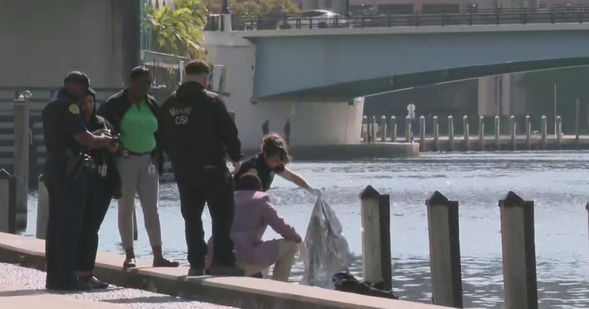 Body pulled from Miami River