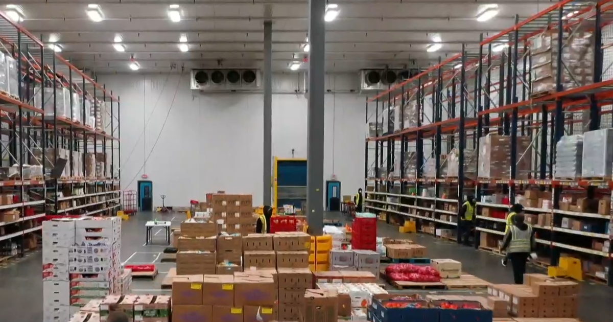 Монтичело Флорида — Не всяка сацума мандарина отглеждана във Флорида