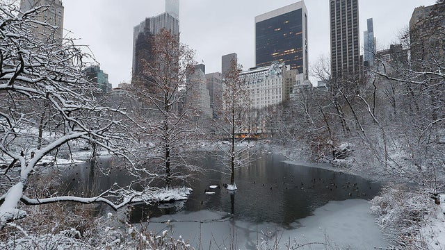 Central Park After an Overnight Snowstorm in New York City 