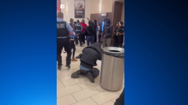 Joliet Mall Fight 