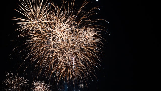 Fireworks in the night sky. 