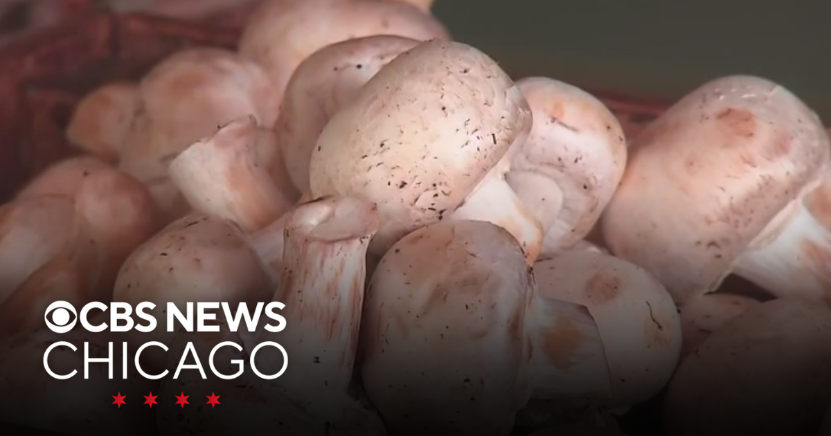 The top healthy food trends for 2026