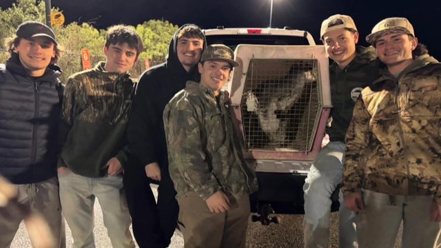 A group of teens pose for a photo with the wallaby in a carrier 
