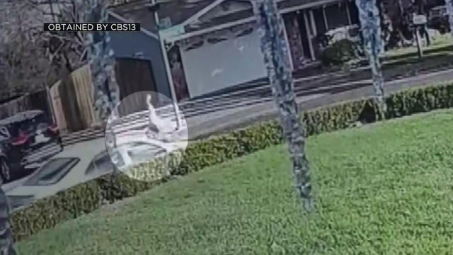 citrus heights e bike crash 