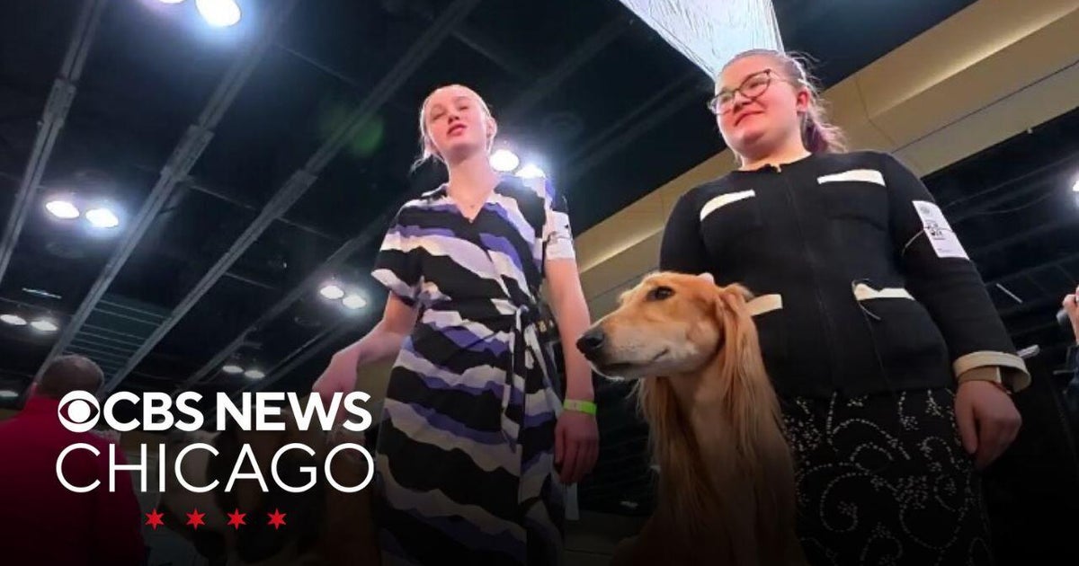 Great American Dog Show returns to Tinley Park Convention Center