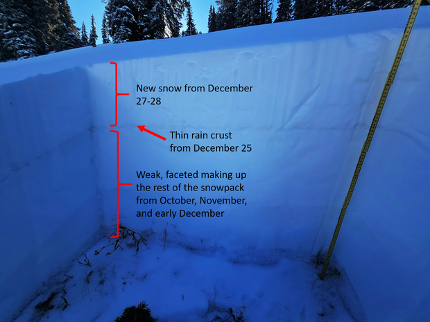 4-snowpit-near-treeline-on-mount-justice-12-28-25-1.png