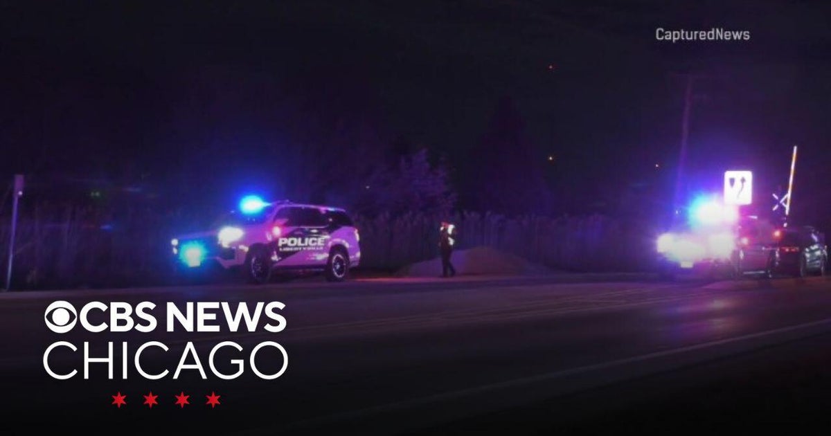 Death investigation underway after body found on Metra tracks in ...