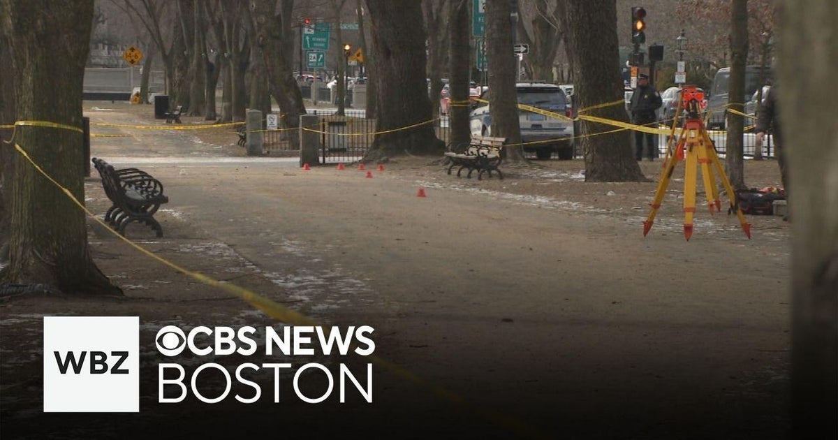 Boston man charged with murder for Commonwealth Avenue hit-and-run to ...