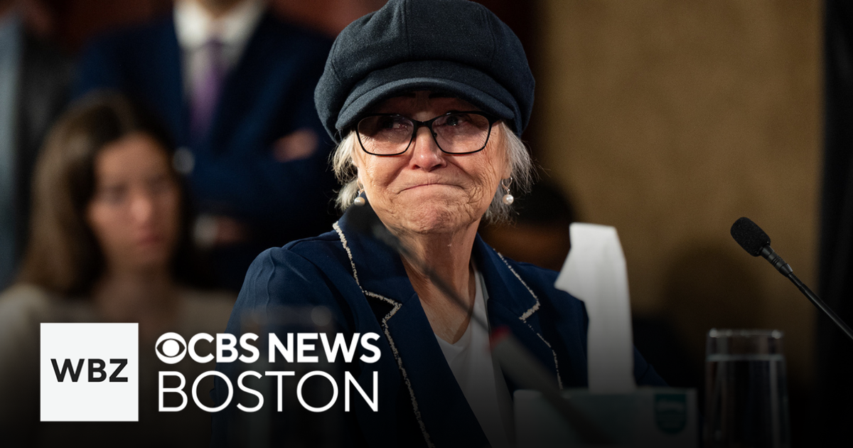 Rioter who regrets involvement in Jan. 6 Capitol attack speaks at hearing