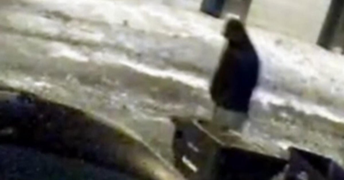 New video of person of interest in killings of Ohio dentist and wife