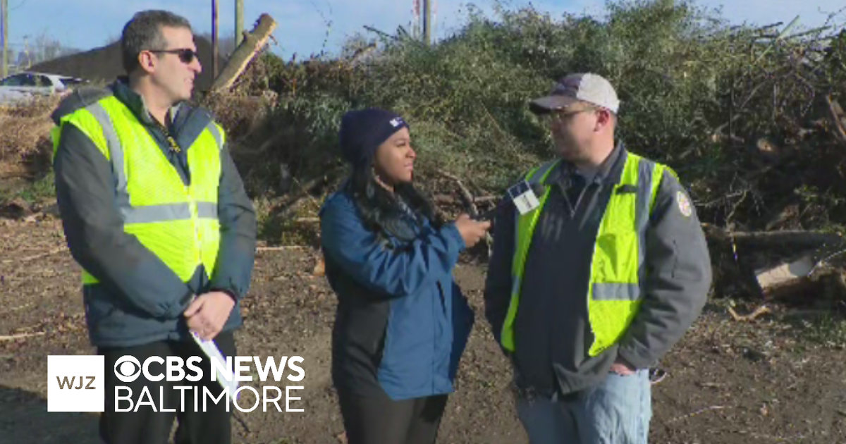 Around Town: Learning about Baltimore County's Christmas Tree recycling program
