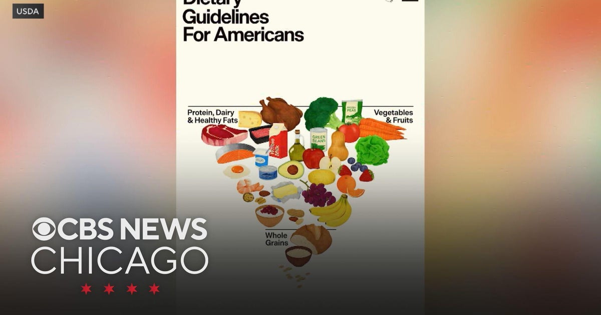NEW AMERICAN DIETARY GUIDELINES 2026 visual data 8