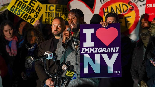 Immigration Enforcement New York 