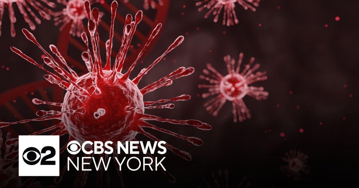 NYC Health Department to give regular flu briefings amid spike in cases ...