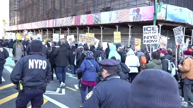 Immigration Enforcement New York 