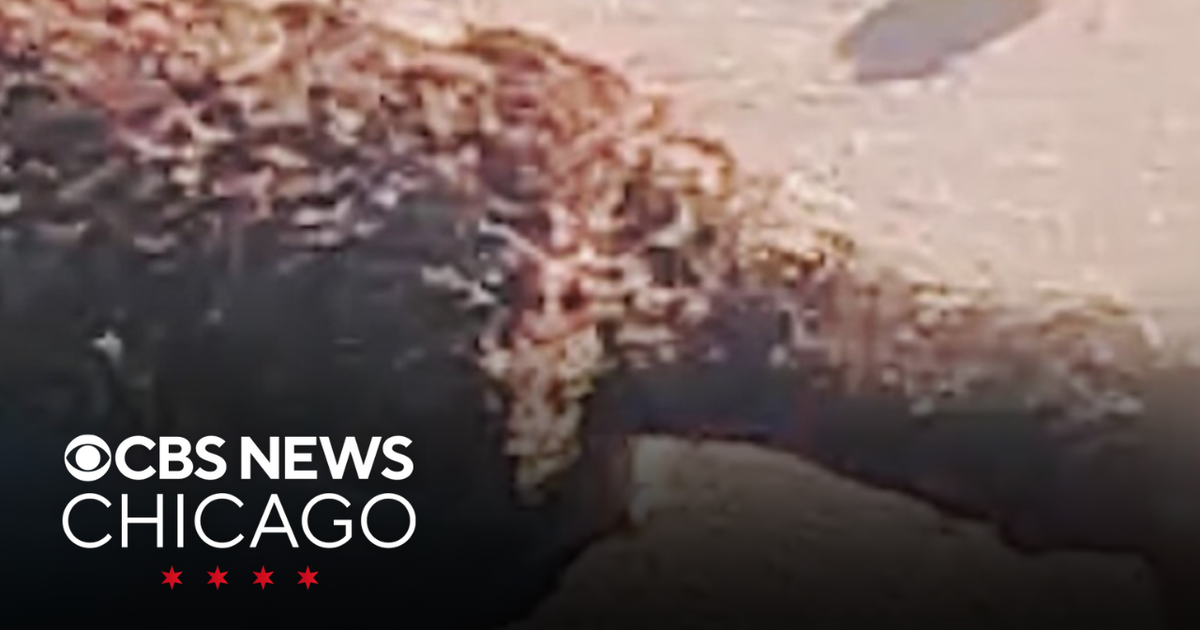 Diver finds World War II bomb off Florida coast