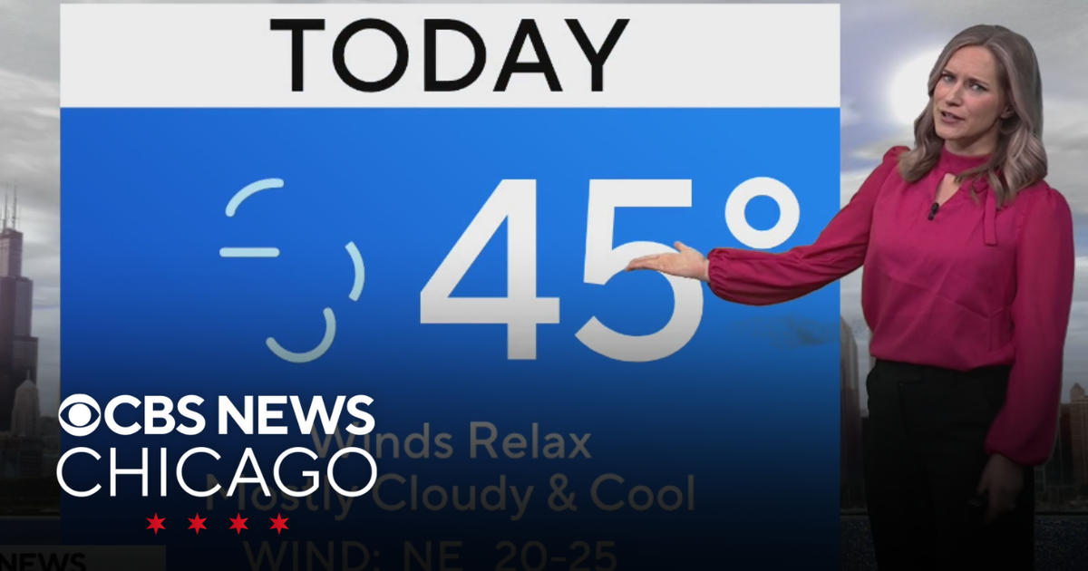 Windy Friday morning in Chicago - CBS Chicago