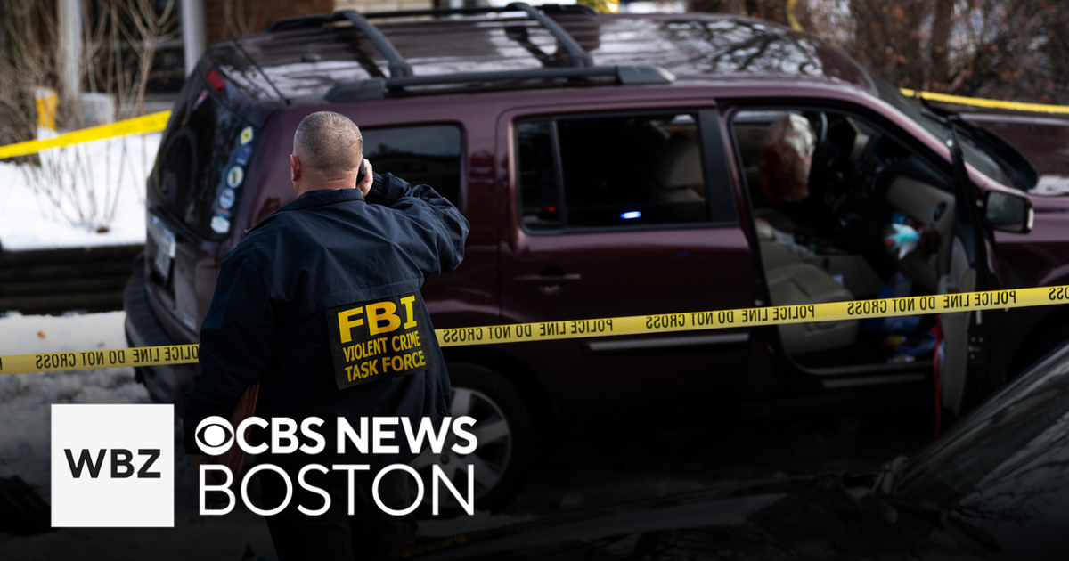 Law enforcement experts have different opinions on fatal ICE shooting