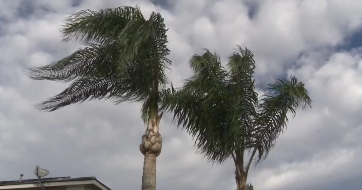 Strong winds checklist: steps to protect your home - CBS Los Angeles