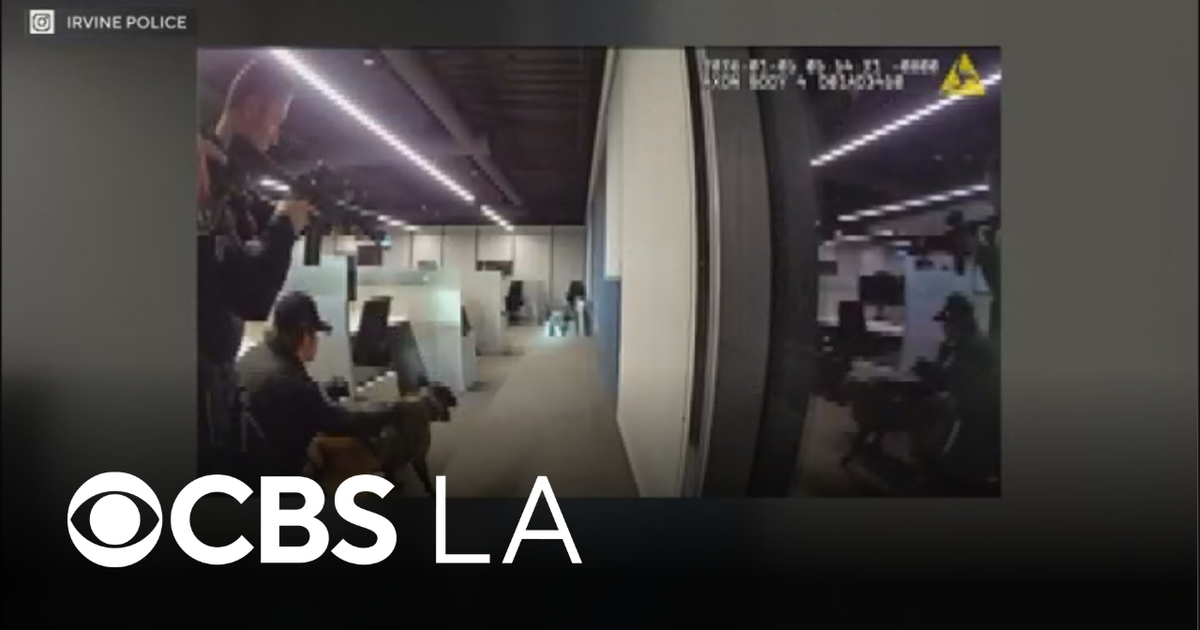 Irvine police thwart $100K burglary at luxury handbag store