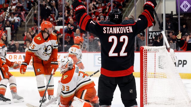 Ducks Hurricanes Hockey 