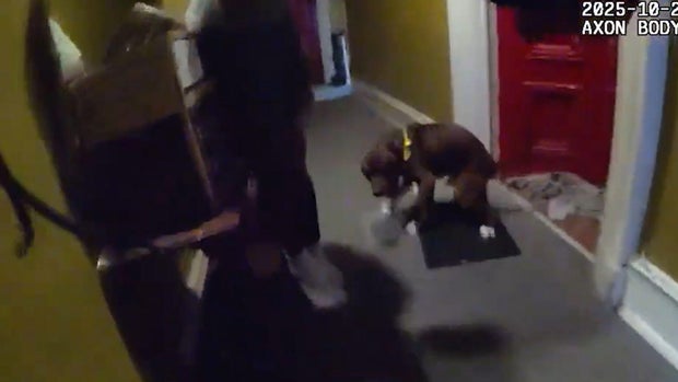 The Baltimore Police Department (BPD) on Monday shared body-camera footage of the moments when two officers shot and killed a dog as it attacked its owner. 