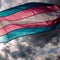 Supreme Court to hear arguments on transgender athlete bans