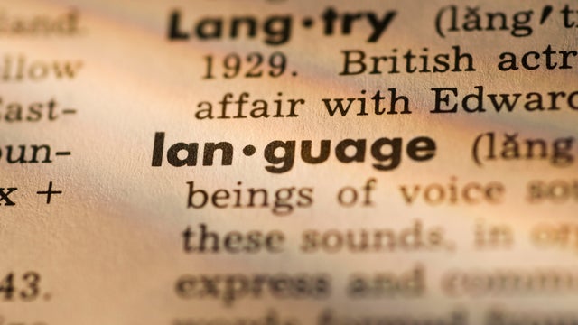 Definition of language in dictionary 