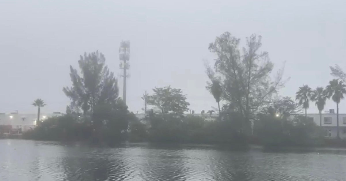 NEXT Weather Alert issued in South Florida due to dense fog Wednesday