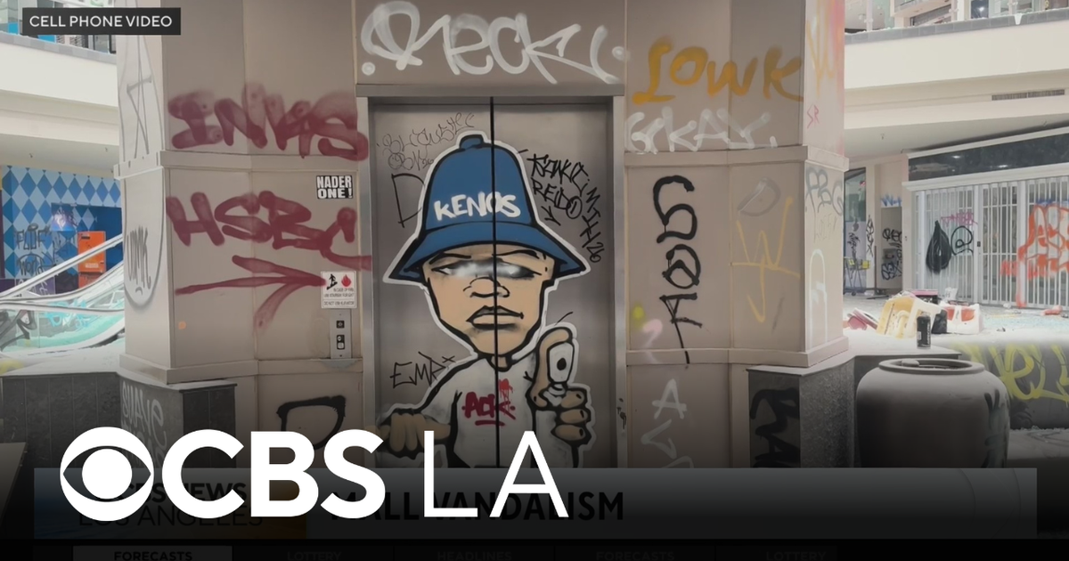 Image for Police arrest more people at Westminster Mall hours after denouncing vandalism