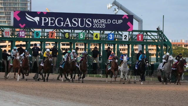 Pegasus World Cup Horse Racing 