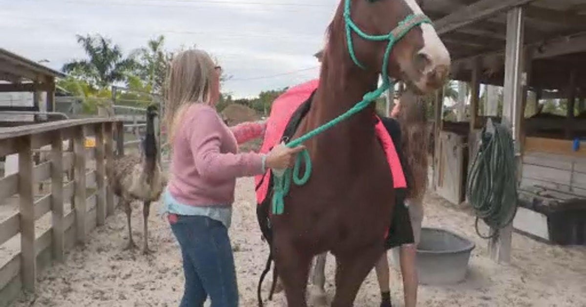 South Florida ranchers scrambling to protect animals, plants vulnerable to cold, windy weather