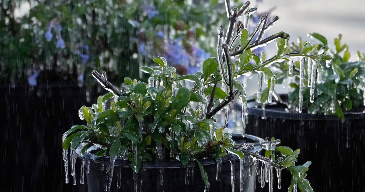 Warming shelters open for Florida’s homeless population as state experiences its coldest weather this winter