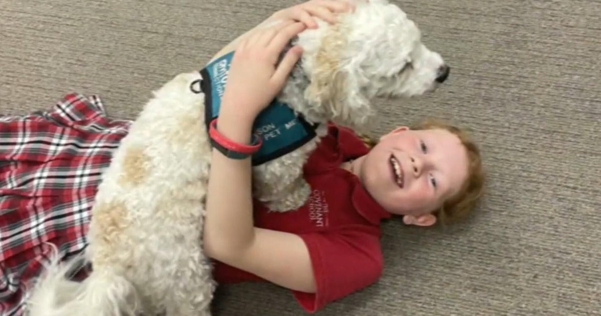 Kids praise dogs that helped console them after school shooting: "They can take your tears"