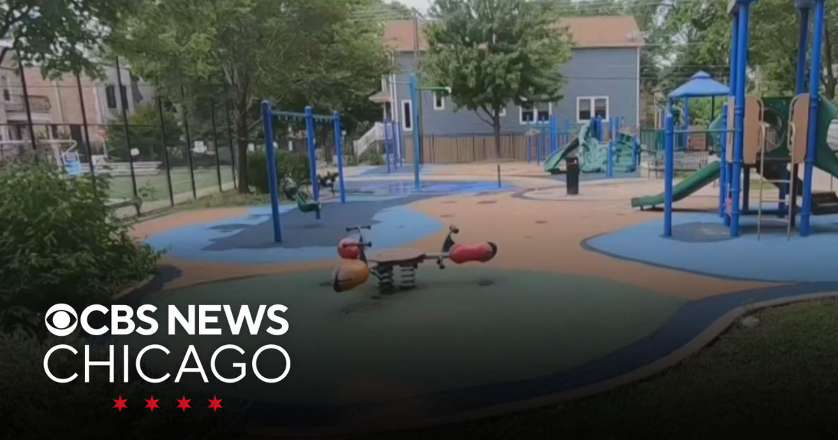 Chicago Park District launches citywide participatory budget