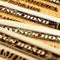 Why the bond market is freaking out, and what it means for your money