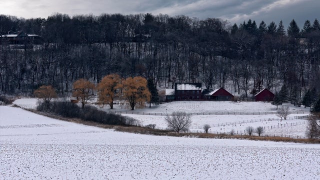 Trees on field against sky during winter,Rochester,Minnesota,United States,USA 
