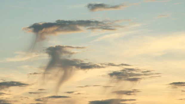 Altocumulus floccus Virga Clouds 