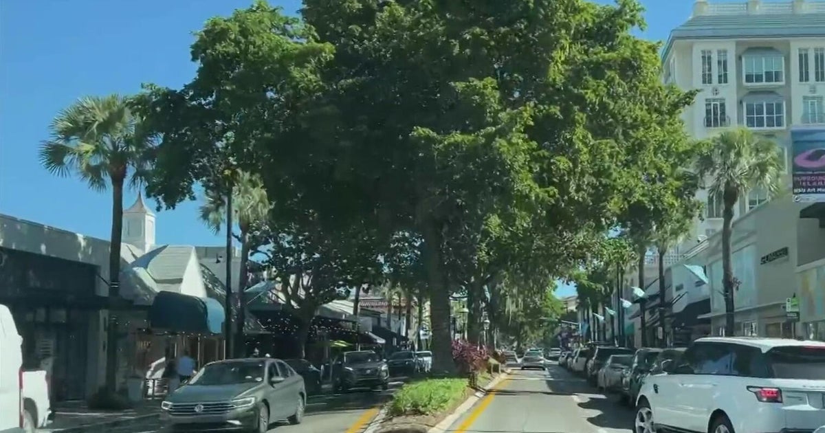 Fort Lauderdale to remove iconic Las Olas olive trees for wider sidewalks