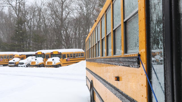Snow covered school buses during blizzard 