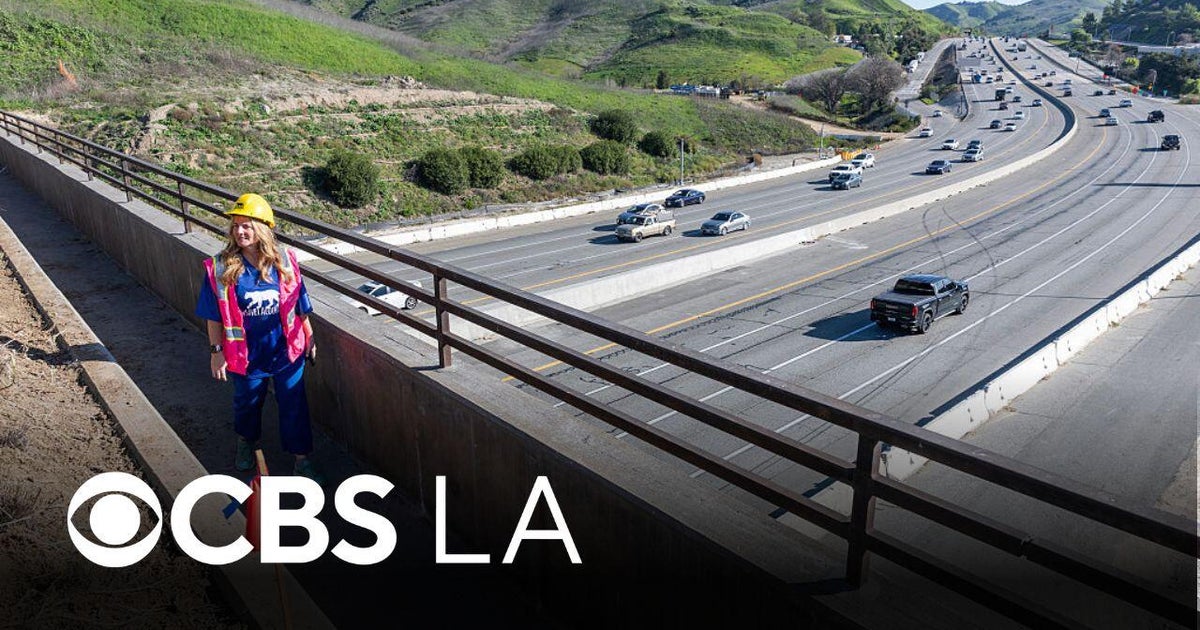 Update on the Annenberg Wildlife Crossing bridge