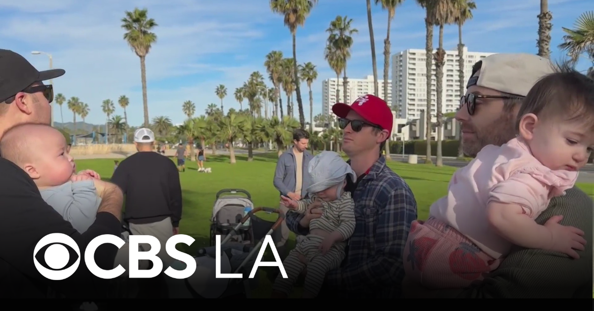 Santa Monica man creates LA Stroll Society for new dads