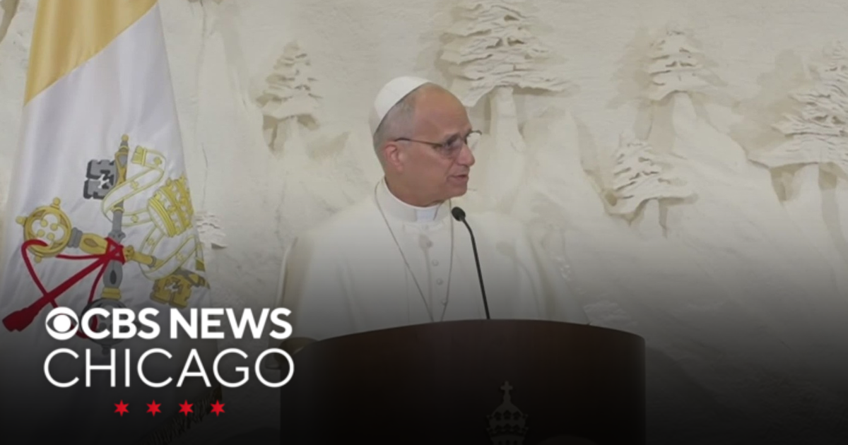 Pope Leo urging caution of "overly affectionate" AI chatbots