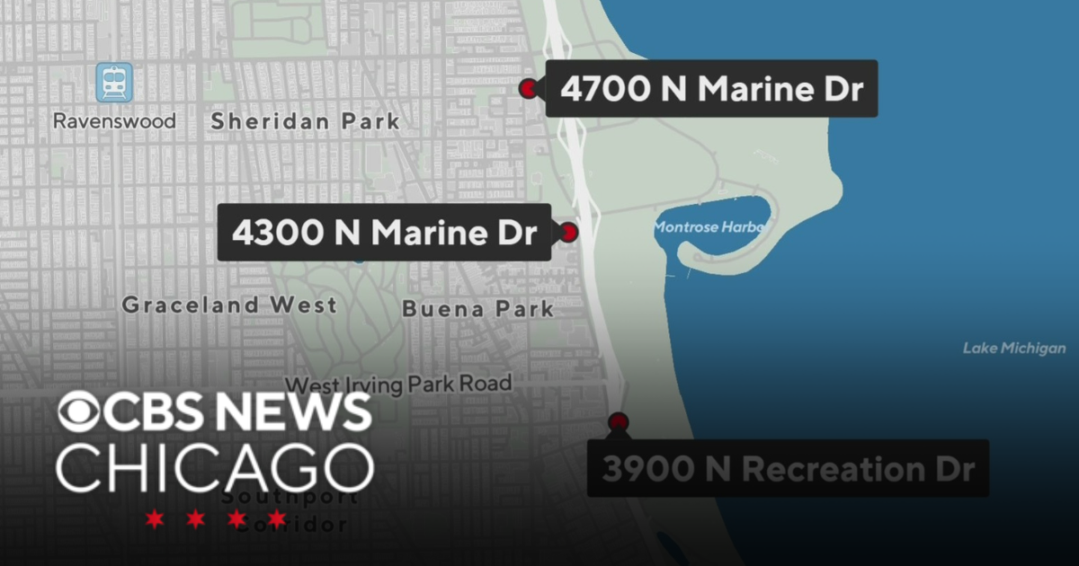 More steering wheel airbags from Honda Civics stolen, CPD says