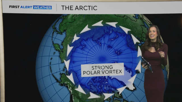 A meteorologist standing in front of a screen that depicts a polar vortex 