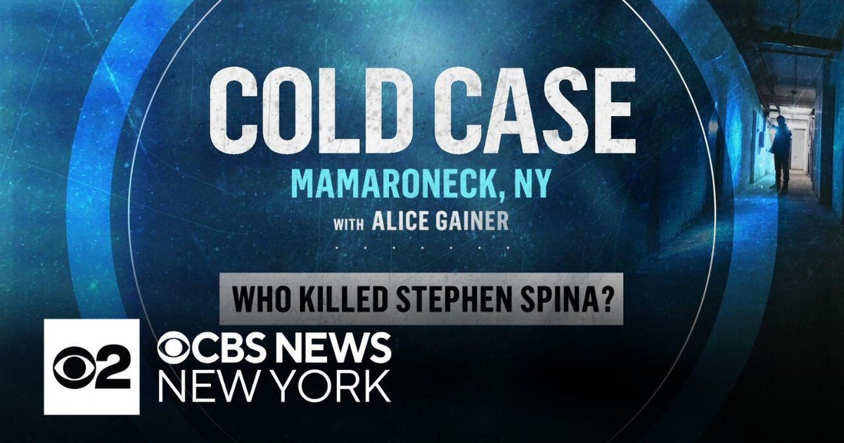 Who killed Stephen Spina? | Cold Case with Alice Gainer - CBS New York