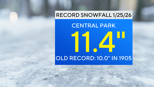 record-snowfall-nyc.png 