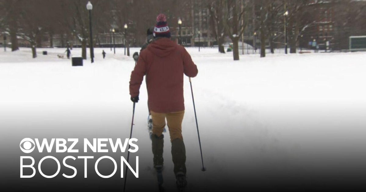 Boston residents commute to work on skis after major snowstorm